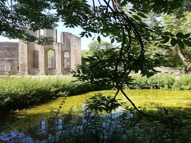 Valle Crucis Abbey